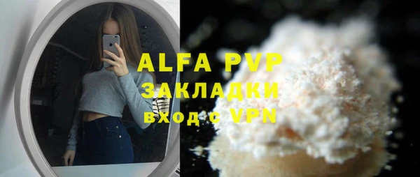 стафф Алексин